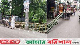 নগরবাসীর গলার কাটা ‘কাউনিয়া বাঁশেরহাট‘