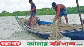ভরা মৌসুমেও উপকূলীয় জেলা বরগুনা ইলিশ শূন্য