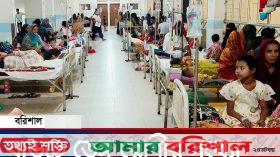বরিশালে ডেঙ্গু সংক্রমণ বৃদ্ধি উদ্বিগ্ন