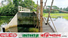 আগৈলঝাড়ায় মই দিয়ে পার হতে হয় যে সেতু