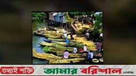 উজিরপুরে হারতায় আখ চাষে সফলতা