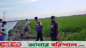 বাউফলে শিশুর হাত-পা-মাথাবিহীন মরদেহ উদ্ধার