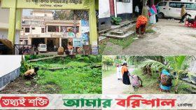 সৌন্দর্য বর্ধনে বদলে যাচ্ছে মেহেন্দিগঞ্জ স্বাস্থ্য কমপ্লেক্সের রূপ!