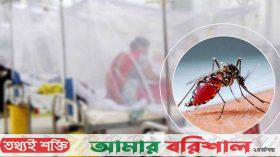 দেশে ডেঙ্গুতে আরও ৬ জনের মৃত্যু