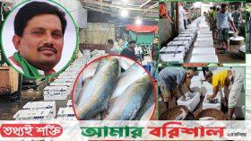 এখনও ‘টুটুল মামার’ নিয়ন্ত্রণে বরিশালের ইলিশ সিন্ডিকেট!