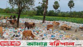 আধুনিক বর্জ্য ব্যবস্থাপনা নেই  কুয়াকাটায় , হুমকিতে পরিবেশ