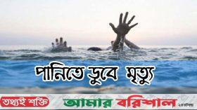 তজুমদ্দিনে পানিতে ডুবে দুই শিশুর মৃত্যু