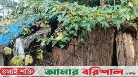 ঝুপড়ি ঘরে থাকা সেই দম্পতিকে নতুন ঘর দিচ্ছেন তারেক রহমান