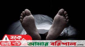 গরু চোরের পিকআপ চাঁপায় শ্রমিক দল নেতা নিহত