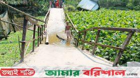 গাছ বোঝাই ট্রলি উঠতেই ভেঙ্গে পড়ল ব্রিজ ॥ দুভোর্গ চরমে