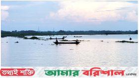 আড়িয়াল খাঁ নদীতে অবাধে ইলিশ শিকার
