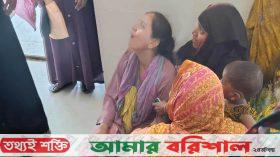 তালতলীতে ধানক্ষেতে ইঁদুর মারার ফাঁদে শিশুর মৃত্যু