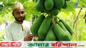 পড়াশোনার পাশাপাশি সবজি চাষে সফল মাইনুল