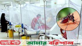 ডেঙ্গুতে গৃহবধুর মৃত্যু, নার্সদের বিরুদ্ধে অবহেলার অভিযোগ