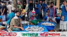 ইলিশের অতিরিক্ত দামে হতাশ ক্রেতারা