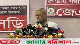 রাজনৈতিক সংকটের জন্য দায়ী অন্তর্বর্তী সরকার-ফখরুল