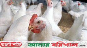 পোলট্রি খামারে ছড়িয়ে পড়েছে বার্ড ফ্লু, নতুন শঙ্কা