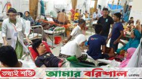 বাড়ছে ডেঙ্গুর চোখ রাঙানি, বরিশালে আরও ২ জনের মৃত্যু