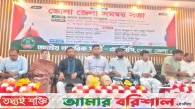 রাষ্ট্রপতির কাছ থেকে জুলাই সনদ নেয়ার চেয়ে নদীতে ডুবে মরা ভালো-ভোলায় হাসনাত আবদুল্লাহ