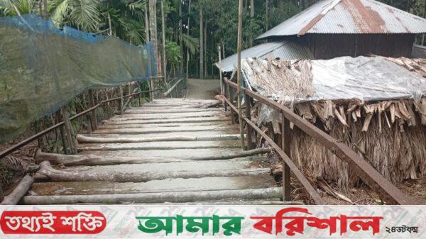 সংস্কার বঞ্চিত আন্দামানিকের জনপদের ব্রিজ 