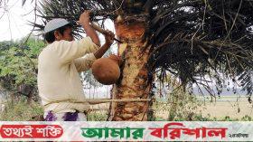 সারের বাজারে নতুন কৌশল: ডিলাররা হতাশ, কৃষকরা উদ্বেগে