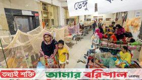 ডেঙ্গু আক্রান্ত ৭০ হাজার ছাড়াল