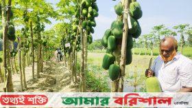 মোস্তফা শিক্ষক থেকে ‍একজন সফল কৃষক!