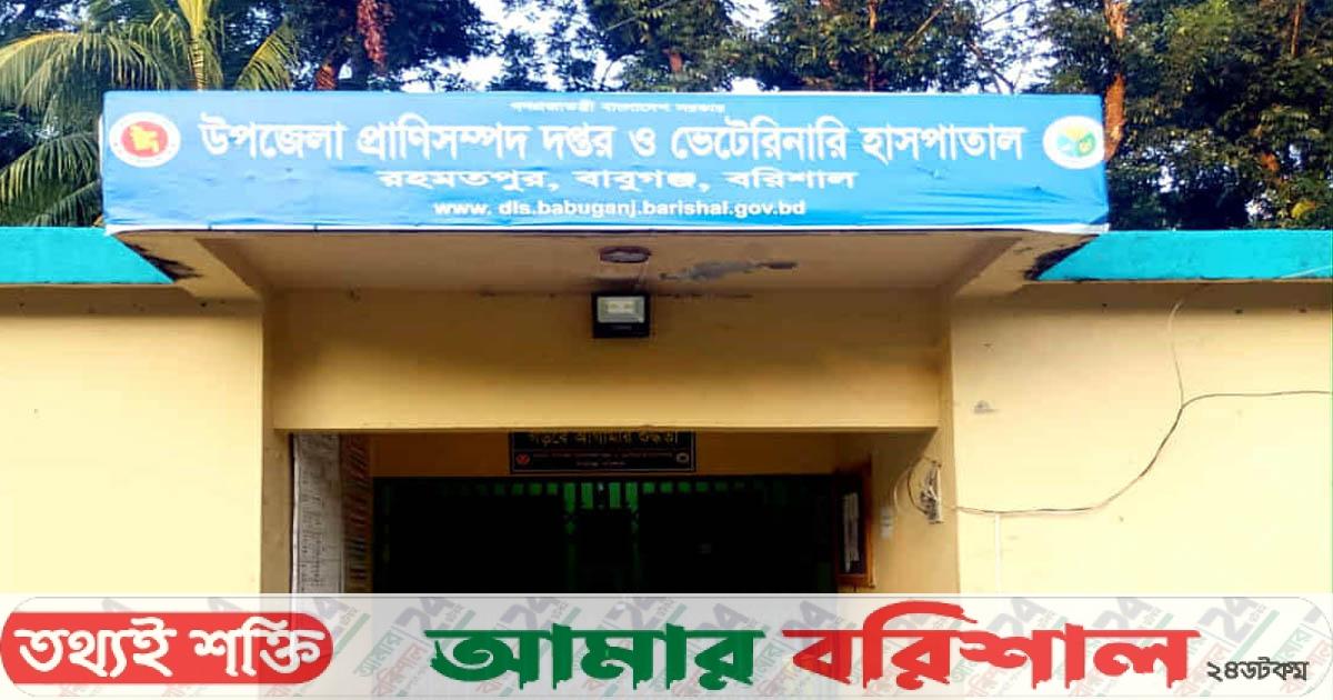 ভুল চিকিৎসায় গর্ভবতী গাভীর মৃত্যুর অভিযোগে তোলপাড়: সত্যতা পায়নি তদন্ত কমিটি