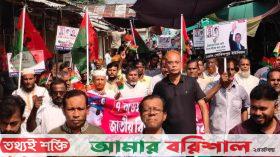 মেহেন্দিগঞ্জে জাতীয় বিপ্লব ও সংহতি দিবসে শোভাযাত্রা ও পথসভা