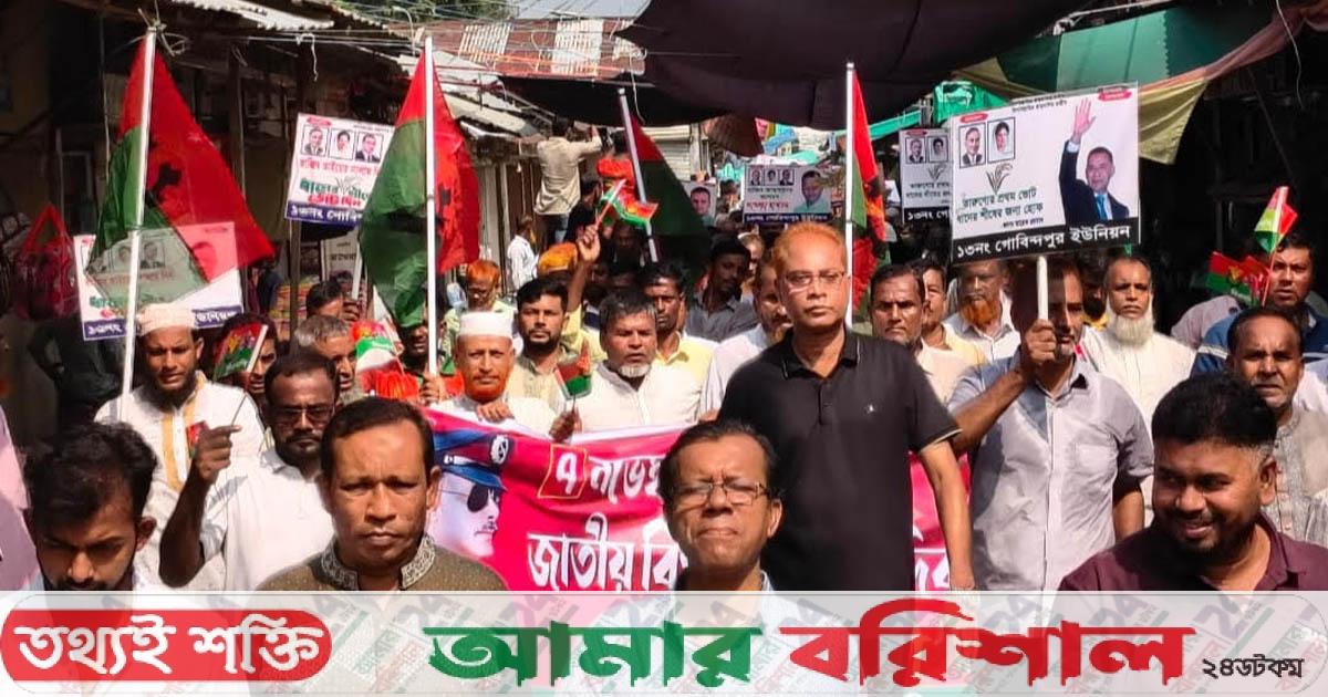 মেহেন্দিগঞ্জে জাতীয় বিপ্লব ও সংহতি দিবসে শোভাযাত্রা ও পথসভা