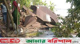 হঠাৎ ভাঙনে বসতঘরসহ গাছপালা নদীগর্ভে