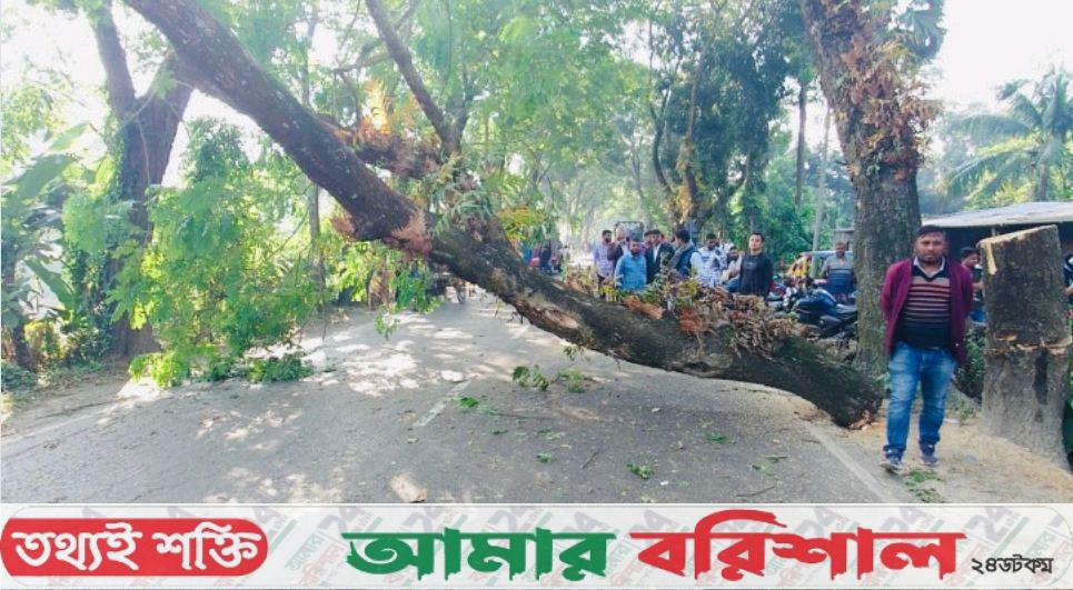 গাছ ফেলে ঢাকা-বরিশাল মহাসড়ক অবরোধ, ৩ ঘণ্টা বন্ধ যান চলাচল