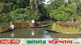 ভাসমান বাজারে বিক্রি হয় শ্যাওলা