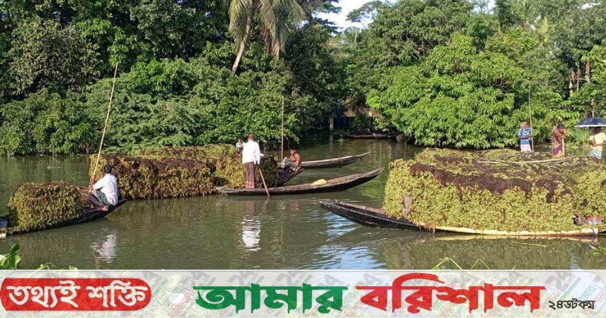 ভাসমান বাজারে বিক্রি হয় শ্যাওলা
