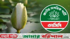 প্রতীক হিসেবে ‌‌‘শাপলা কলি’ বেছে নিল এনসিপি