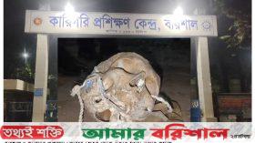 বরিশালে পুরনো কঙ্কাল উদ্ধার ॥ নগরবাসীর মাঝে আতঙ্ক