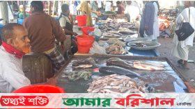 সামুদ্রিক মাছ বাজার দখল করছে , দেশীয় মাছের সংকট