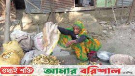 দারিদ্র্যের সঙ্গে লড়াই নব্বই ছুঁইছুঁই বয়সে আলেয়ার