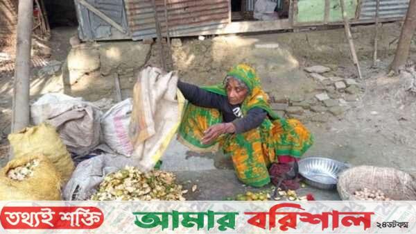 দারিদ্র্যের সঙ্গে লড়াই নব্বই ছুঁইছুঁই বয়সে আলেয়ার