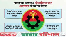 সমঝোতার আসনেও ‘বিদ্রোহীদের চাপে কোণঠাসা’ বিএনপির মিত্ররা
