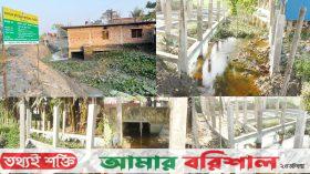 খাল দখলের কারণে কৃষকরা পানি বঞ্চিত, বন্ধ চাষাবাদ