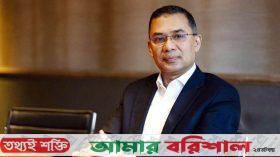 পূর্ণ মেয়াদে বিএনপির চেয়ারম্যান হচ্ছেন তারেক রহমান