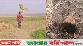 জমি বুঝে পেতে ২৫ বছর ধরে ভূমিহীন বৃদ্ধ খালেকের লড়াই