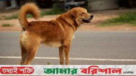 যুবকের ঠোঁট ছিঁড়ে নিল কুকুর