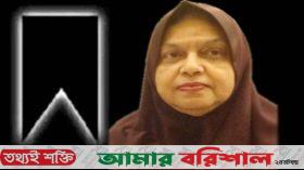 সাবেক হুইপ জামালের স্ত্রী নাসরিন হক আর নেই