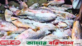 এক জালে ১শ’ মণ লাল কোরাল ধরা