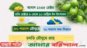 লেবুর রাজ্যেই ঝাঁজ বেড়েছে লেবুর