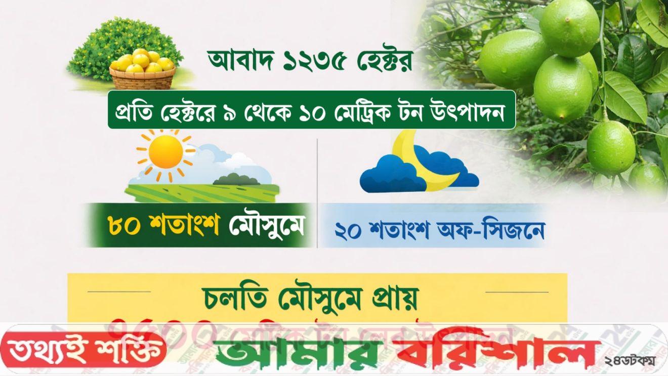 লেবুর রাজ্যেই ঝাঁজ বেড়েছে লেবুর