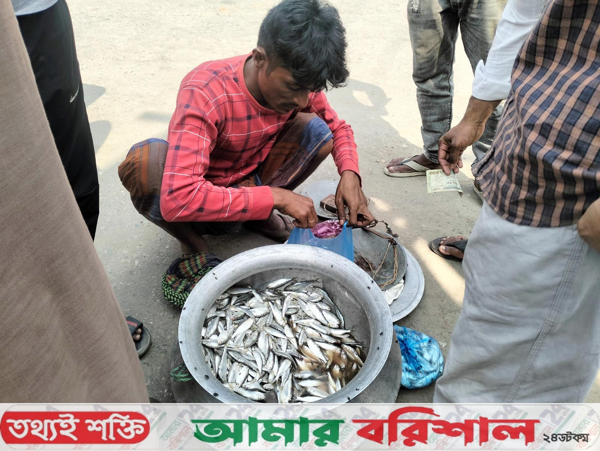 অবাধে চলছে ইলিশের পোনা বিক্রি