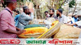 হঠাৎ বরিশালের বাজারে লিবিয়ান মিষ্টি কুমড়ার রাজত্ব!